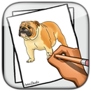 jak rysować: psy aplikacja