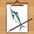 How to Draw a Fish Easy