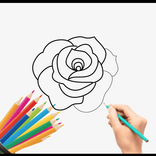 How to draw Rose