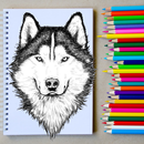 Como desenhar lobo APK