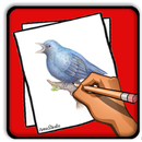 كيفية رسم: رسم الطيور APK