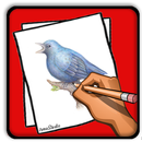 Comment dessiner des oiseaux APK