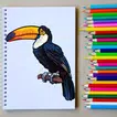 How to Draw a Bird Easy