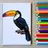 How to Draw a Bird Easy APK