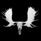 Moose Hunter icône