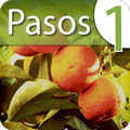 Learn Spanish Lab: Pasos 1
