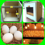 how to make an egg hatching ma