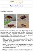 how to repel cockroaches poster