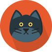 Cats Training Guide