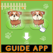 Walkthrough for Puppy Town - Merge & Win