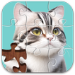 Jigsaw Puzzle