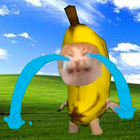 Banana Series - Cat Meme-icoon