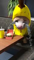 Banana Series - Cat Meme capture d'écran 3