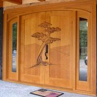House Door Design Indian Style स्क्रीनशॉट 1