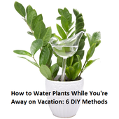 How to water plants while away icon