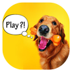 Bark Translator : Human To Dog