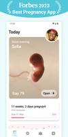 Pregnancy + | Tracker App poster