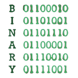 Binary Computer Store