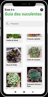 Guia das Suculentas captura de pantalla 2