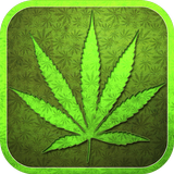 Weed Wallpapers آئیکن