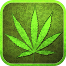 Cannabis Fond d'écran APK