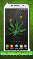 Weed Wallpapers penulis hantaran