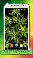 Weed Wallpapers اسکرین شاٹ 1