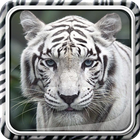 White Tiger Live Wallpaper ไอคอน