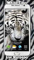 نمر أبيض خلفية حية تصوير الشاشة 3