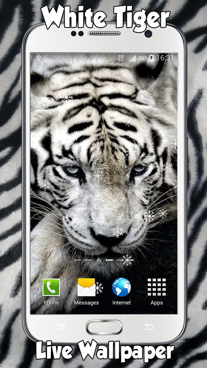 84 Gambar Wallpaper Harimau Putih Paling Bagus 84 Gambar Wallpaper Harimau Putih Paling Bagus