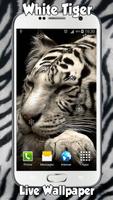 White Tiger Live Wallpaper โปสเตอร์