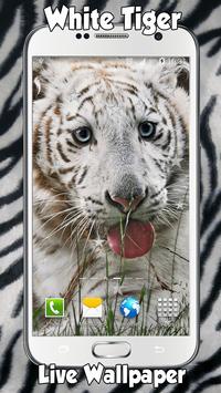 Tigre Branco Papel De Parede Para Android Apk Baixar