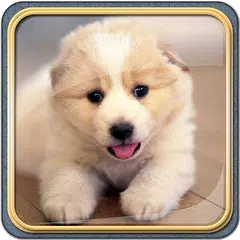 無料で犬の壁紙 高画質 Apkアプリの最新版 Apk1 4をダウンロード Android用 犬の壁紙 高画質 アプリダウンロード Apkfab Com Jp