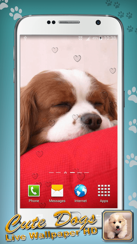 無料で 犬の壁紙 高画質 アプリの最新版 Apk1 4をダウンロードー Android用 犬の壁紙 高画質 Apk の最新バージョンをダウンロード Apkfab Com Jp