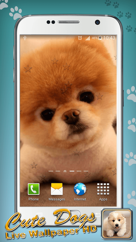 無料で 犬の壁紙 高画質 アプリの最新版 Apk1 4をダウンロードー Android用 Apkshortname Apk の最新バージョンをダウンロード Apkfab Com Jp