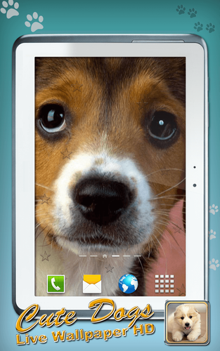 無料で 犬の壁紙 高画質 アプリの最新版 Apk1 4をダウンロードー Android用 犬の壁紙 高画質 Apk の最新バージョンをダウンロード Apkfab Com Jp