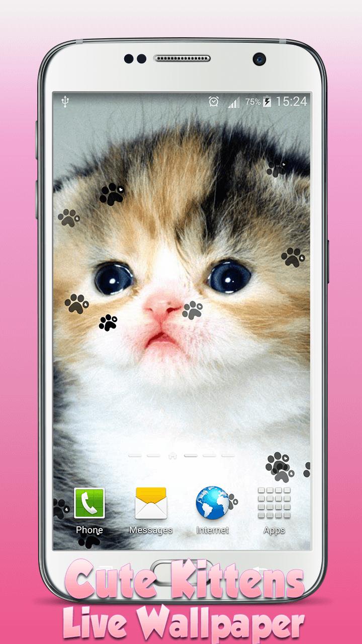 Android 用の かわいい子猫の壁紙をライブ Apk をダウンロード