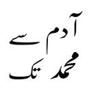Islamic Books in Urdu offline APK