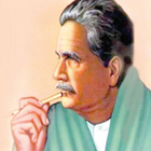 Allama Iqbal All Books icône