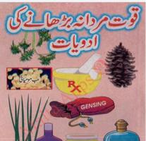 Hikmat Books Urdu Old الملصق