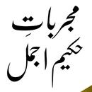 Hikmat Books Urdu Old APK