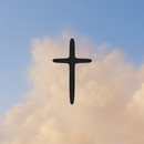 Bible Widgets APK