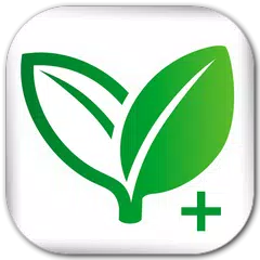 Home Remedies+ : Natural Cures APK download