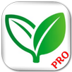 Home Remedies (Pro) APK