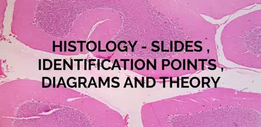 Histology: Slides,Identificati