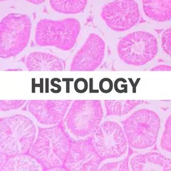 Histology: Slides,Identificati Icon