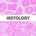 Histology 圖標