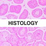 Histology آئیکن