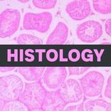 Histology Pro:Annotated Slides