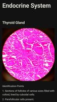 Histology Pro स्क्रीनशॉट 2